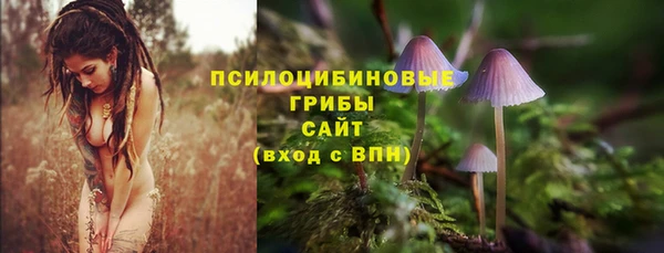 бутират Саяногорск