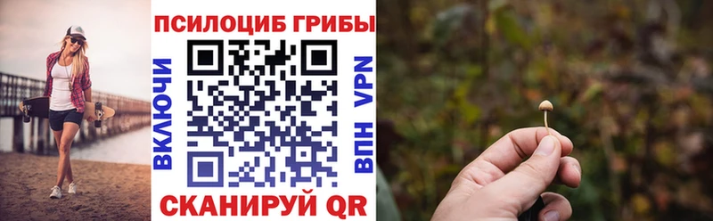 Галлюциногенные грибы GOLDEN TEACHER  где можно купить   Тарко-Сале 